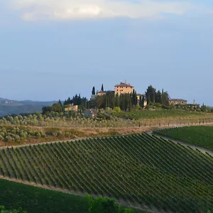 Damario Panorama Panzano in Chianti